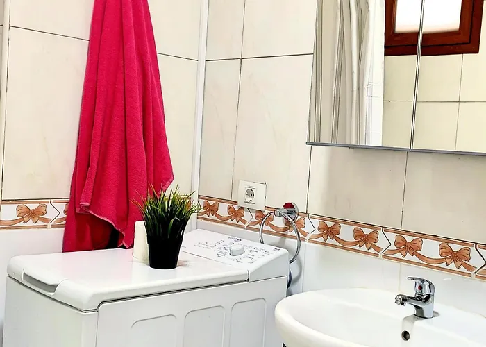 Magic Conch 플라야 델 잉글스